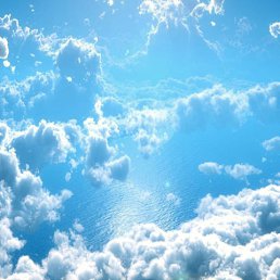 ���� Evi, ������ - ��������� 1 ������� 2018