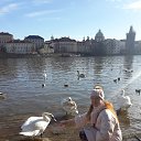 ���� ������, ������� - ��������� 25 ������ 2018 � ������ �Timeline Photos�
