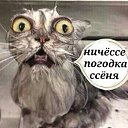 ���� ������, ������������, 66 ��� - ��������� 25 ������ 2018 � ������ ���� ����������