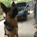 ���� �����, �����������, 49 ��� - ��������� 18 ���� 2018 � ������ ������ ��������