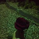 ���� ������, �����, 48 ��� - ��������� 19 ���� 2018 � ������ ���� ����������