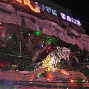 ������ ����, ������ �� ������� ���� ����������