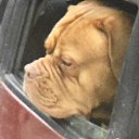 ���� Andrej, ������, 49 ��� - ��������� 10 ������� 2018 � ������ ���� ����������