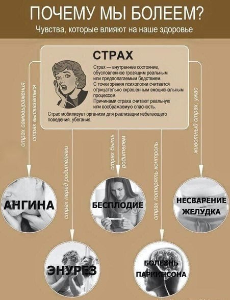 Психосоматика или чувства, которые влияют на наше здоровье. - 4
