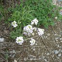 ���� �����, �����������, 64 ���� - ��������� 27 ���� 2018 � ������ ���� ����������