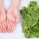 ���� �������, ���, 52 ���� - ��������� 9 ������ 2018 � ������ ������ ��������