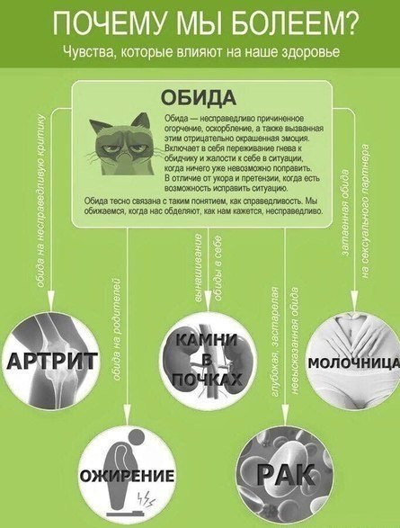 Психосоматика или чувства, которые влияют на наше здоровье.