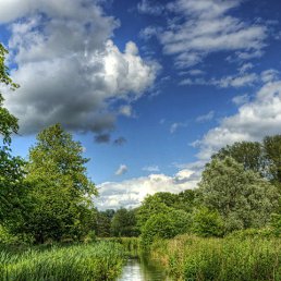 ���� ����, ��������, 46 ��� - ��������� 21 ������ 2018