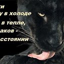 ���� �������, ������, 52 ���� - ��������� 30 ������ 2018 � ������ ���� ����������
