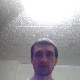 �������, ��������, 41 ���