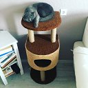 ���� Canpod, ������, 40 ��� - ��������� 19 ������ 2018 � ������ ������ ��������