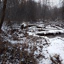 ���� ������, �����������, 62 ���� - ��������� 24 ������� 2018 � ������ ���� ����������