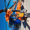 ���� �����, ���������, 39 ��� - ��������� 4 ������ 2018 � ������ ������ ��������