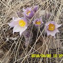 ���� �����, ������������ - ��������� 30 ������ 2018 � ������ ���� ����������