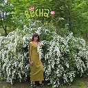 ���� ������, ����������, 56 ��� - ��������� 8 ������ 2018 � ������ ���� ����������