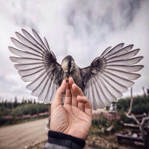 !