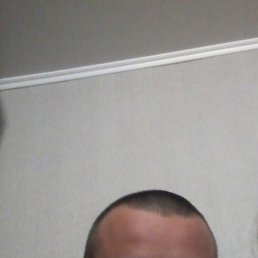 ������, ������, 43 ����