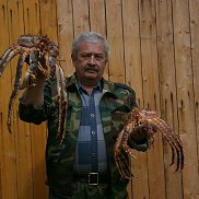 �������, 66 ���, ������