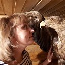 ���� �������, ��������� - ��������� 25 ������ 2017 � ������ ���������� ������