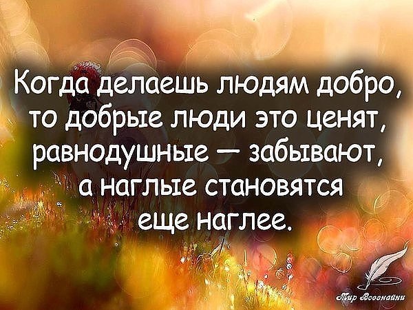 Добро не ценится — люди от него наглеют! - 2