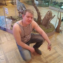 ������, �������, 37 ���