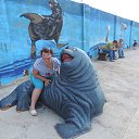 ���� �������, �����, 43 ���� - ��������� 4 ������� 2017 � ������ ���� ����������