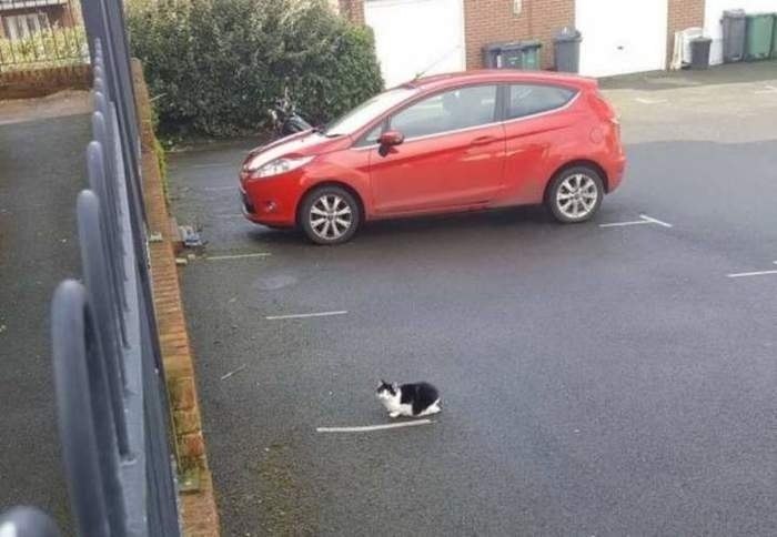 ��� ������ ���� ����� �� ��������