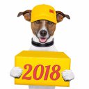 ���� �������, ������������, 31 ��� - ��������� 24 ������ 2018 � ������ ���� ����������