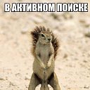 ���� ���������, ������, 46 ��� - ��������� 8 ������ 2018 � ������ ������ ��������