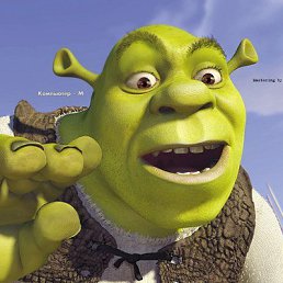 Seha, ����, 53 ����