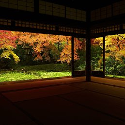 ���� �������, ������ - ��������� 15 ��� 2018