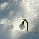 ���� ����, ������, 46 ��� - ��������� 21 ������� 2018 � ������ ������ ��������