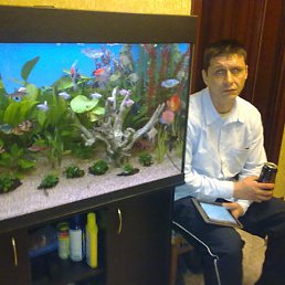 �������, ������, 59 ���