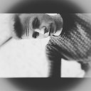 ���� Mark, ����, 28 ��� - ��������� 1 ������� 2017 � ������ ���� ����������