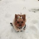 ���� ������, ������ - ��������� 24 ������� 2017 � ������ ���� �������!!!�