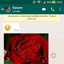 ���� ������, ���������, 50 ��� - ��������� 23 ������ 2017 � ������ ���� ����������