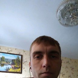 �����, ��������, 41 ���