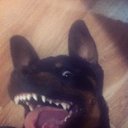 ��� ������- �������