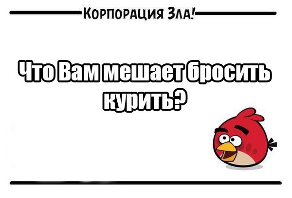 ,     ?