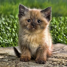 ���� Natalya, ������ - ��������� 10 ���� 2018