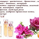  50
 20%  
- Argeville,  .        /  87770538027    aoa