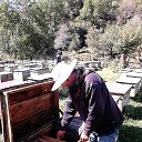 ���� Emil, �����������, 38 ��� - ��������� 20 ������ 2018 � ������ ���� ����������