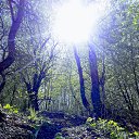 ���� �����, �����-���������, 44 ���� - ��������� 13 ��� 2018 � ������ �������� ����� �������.�