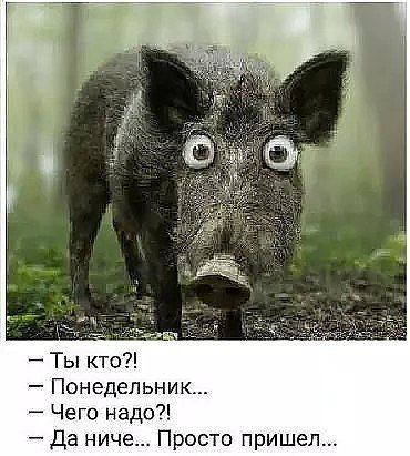 ������� ������� ��� �������� - 23 ������ 2018 � 09:22