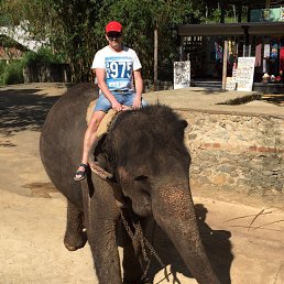 ���� �������, ������ - ��������� 20 ������� 2018