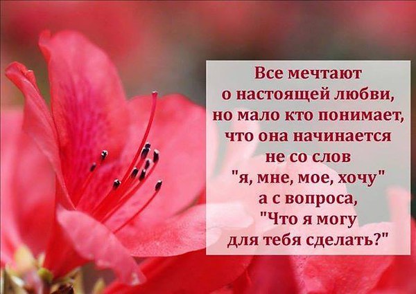 С ПОСЛЕДНИМИ ЗИМНИМИ ВЫХОДНЫМИ ВАС!!! - А ДАЛЬШЕ ЧТО? - А ДАЛЬШЕ.. ВЕСНА! Сегодня день прошел не ...