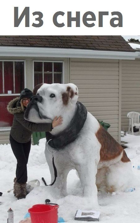 Лайфхак - 9 декабря 2017 в 03:49