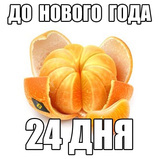   - 7  2017  06:03