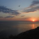 ���� �����, ����������� - ��������� 15 ������� 2017