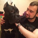  , -, 34  -  19  2017    